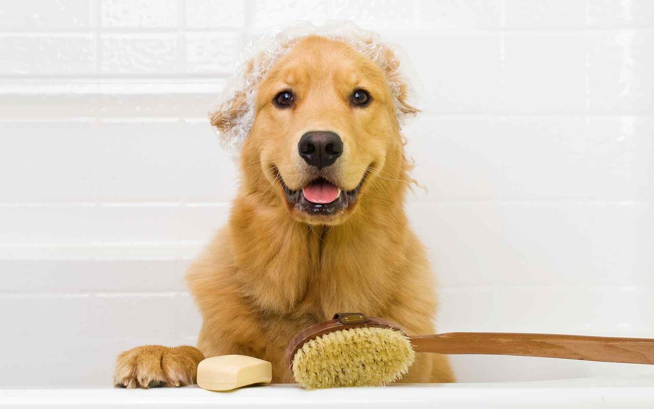https://www.toilettagelabelleetlabete.com/wp-content/uploads/2018/09/post_02-1280x800.jpg