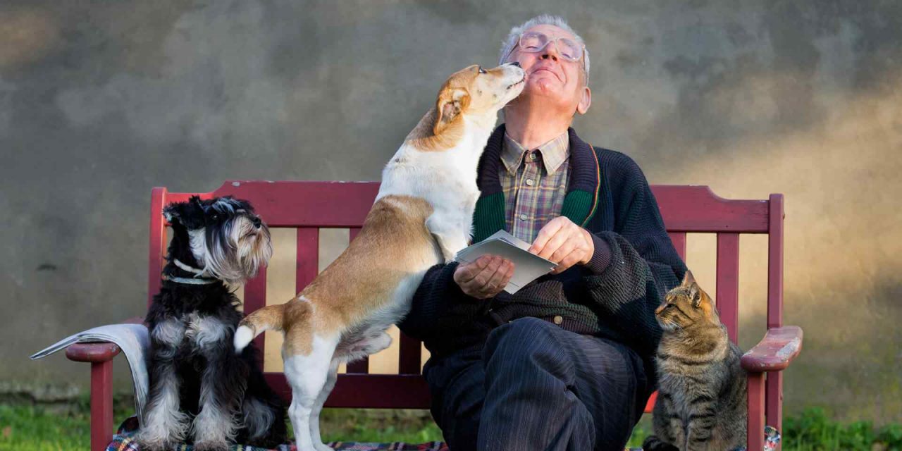 https://www.toilettagelabelleetlabete.com/wp-content/uploads/2019/07/post_12-1280x640.jpg